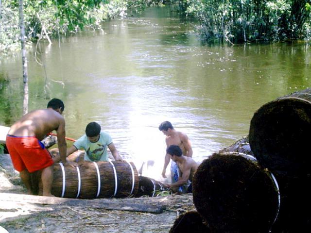 Piaçabeiros foram encontradas em condições de trabalho análoga ao escravo