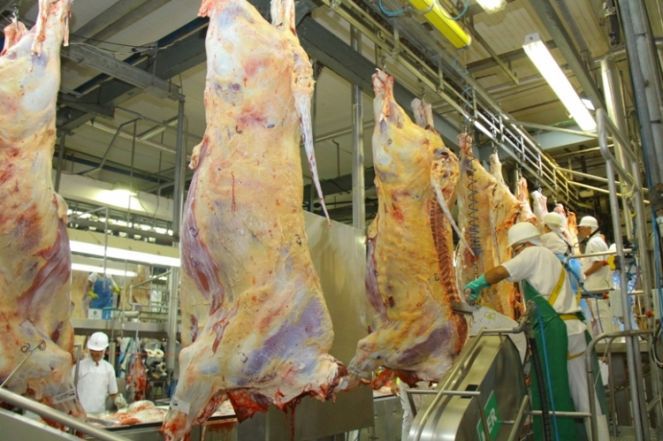 A carne bovina ampliou em 24,97% a participação na balança comercial