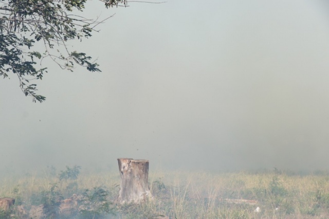 Fumaça toma conta de terreno baldio no Itamaraca
