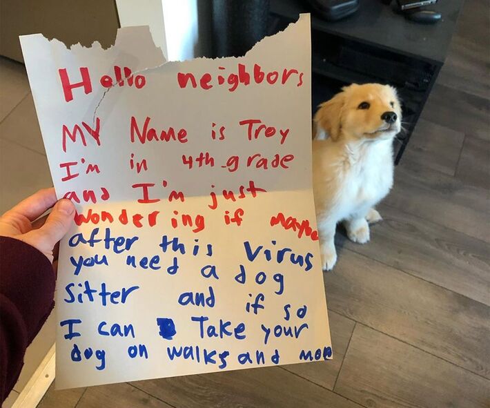 Menino de 10 anos escreveu carta se oferecendo para cuidar de filhote das vizinhas em Chicago, nos EUA