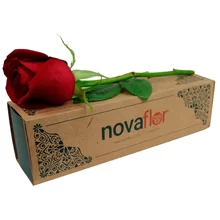 Imagem: novaflor.com.br