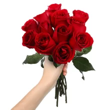 Imagem: novaflor.com.br