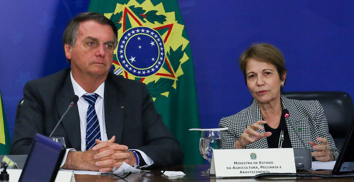 Esses são Bolsonaro e Tereza Cristina. Foto: PR