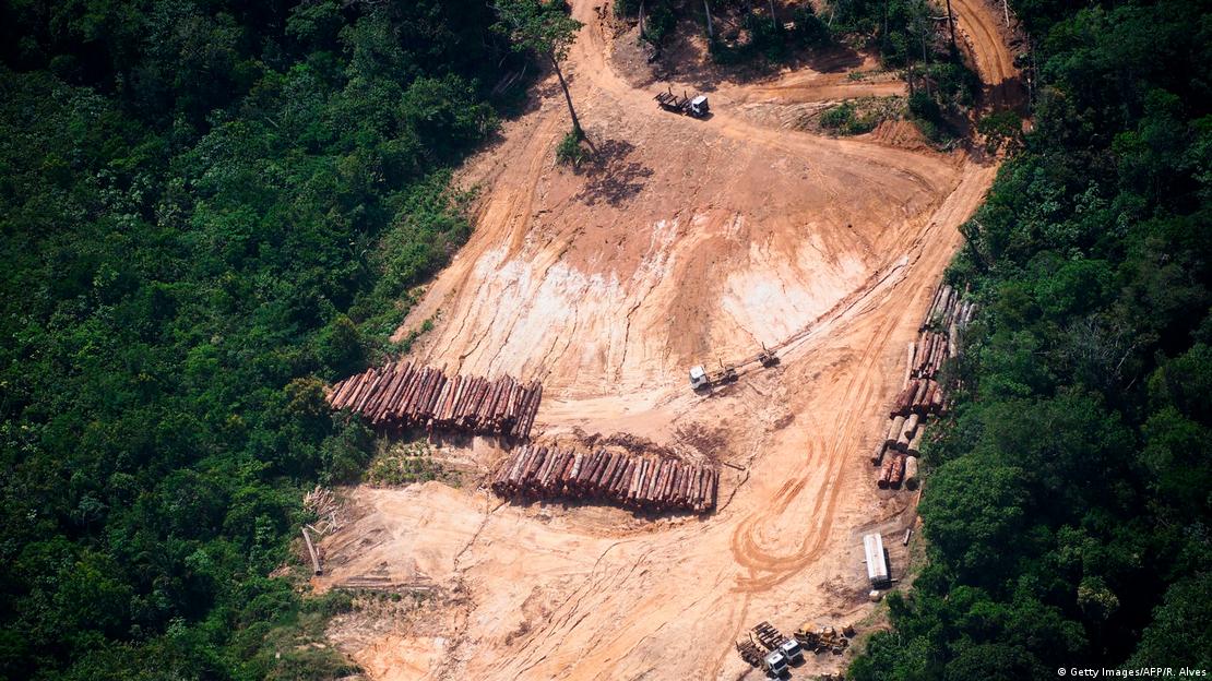 Na avaliação do delegado da PF Alexandre Saraiva, 99% da madeira que sai da Amazônia hoje é ilegalFoto: Getty Images/AFP/R. Alve