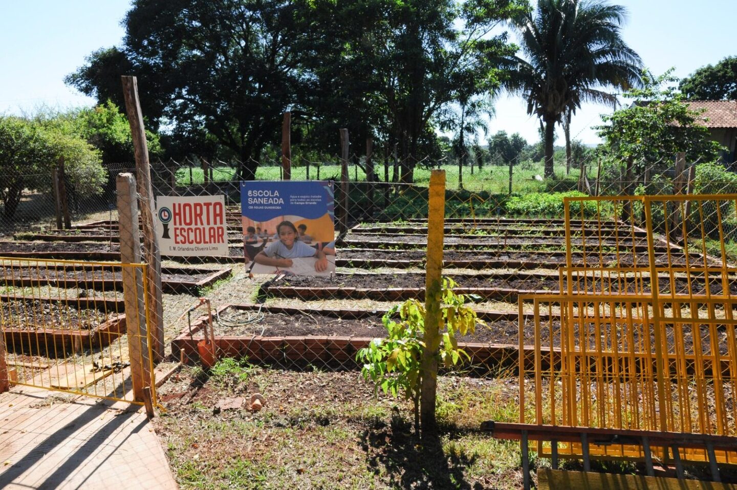 Horta na Escola Orlandina Oliveira Lima, localizada na col&ocirc;nia do Agu&atilde;o, zona rural de Campo Grande, receber&aacute; incrimento com Escola Saneada. Foto: Roberto Ajala