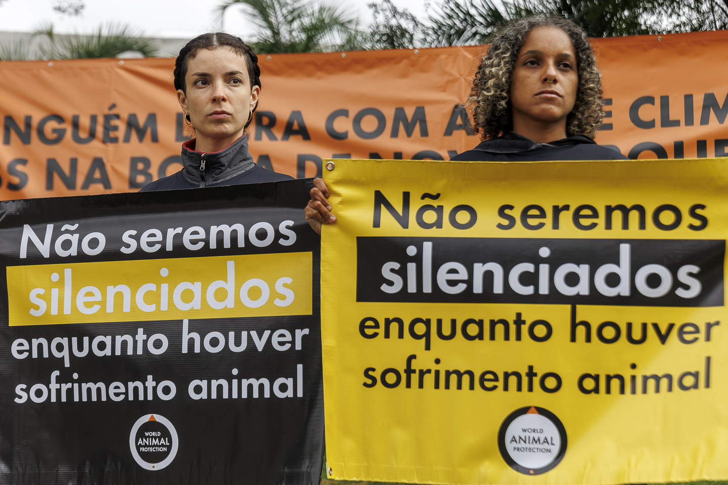 Ambientalistas revelam ameaça por parte da empresa. Foto: Diego Baravelli