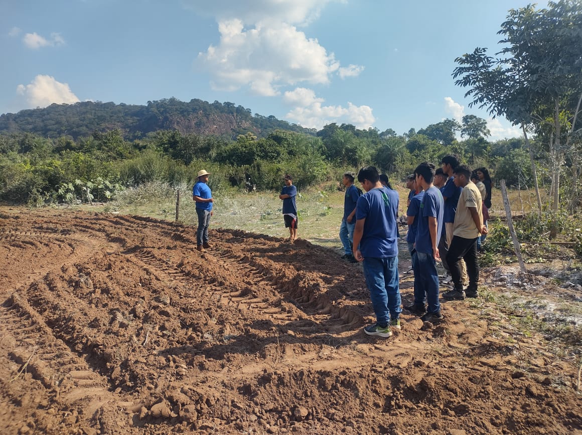 Indígenas Terena iniciam projeto de reflorestamento sustentável em Mato Grosso do Sul Indígenas Terena iniciam projeto de reflorestamento sustentável em Mato Grosso do Sul