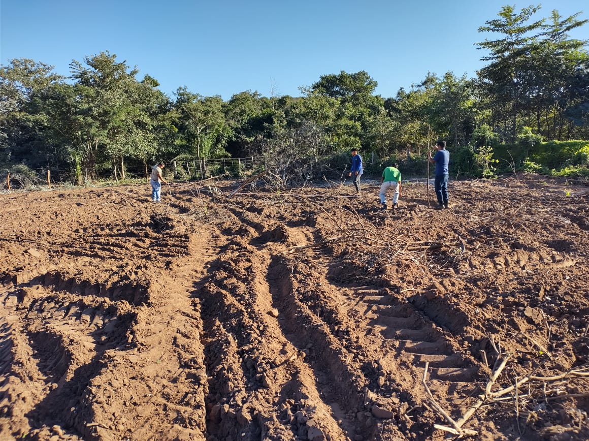 Indígenas Terena iniciam projeto de reflorestamento sustentável em Mato Grosso do Sul Indígenas Terena iniciam projeto de reflorestamento sustentável em Mato Grosso do Sul