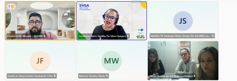 Equipe da SES MS em web com representante do Programa Nacional de Imunização.