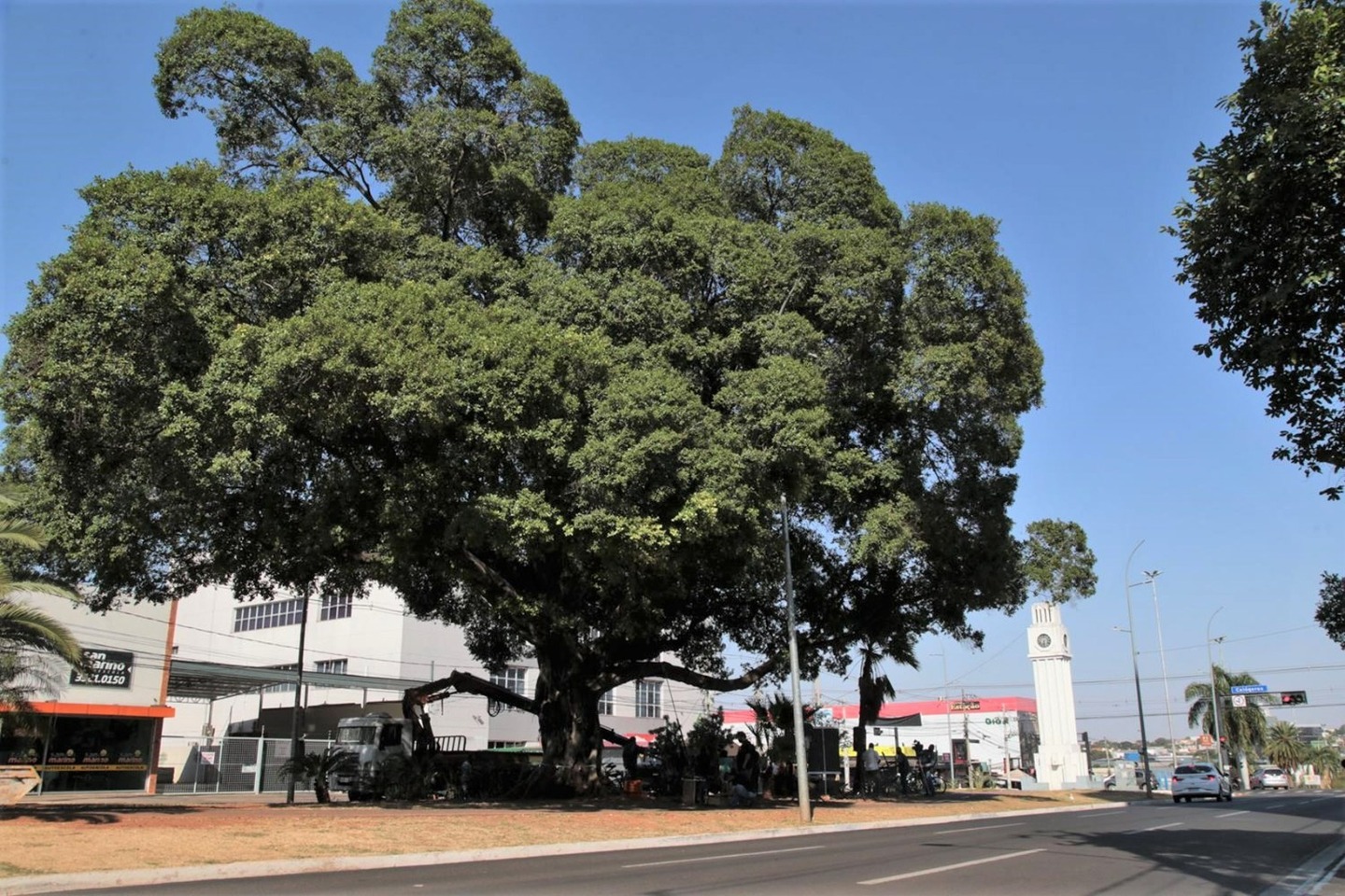  Foto: Divulga&ccedil;&atilde;o/ PRECG