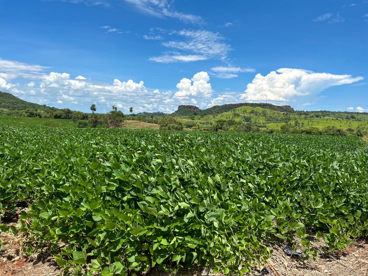 Foto: Divulga&ccedil;&atilde;o