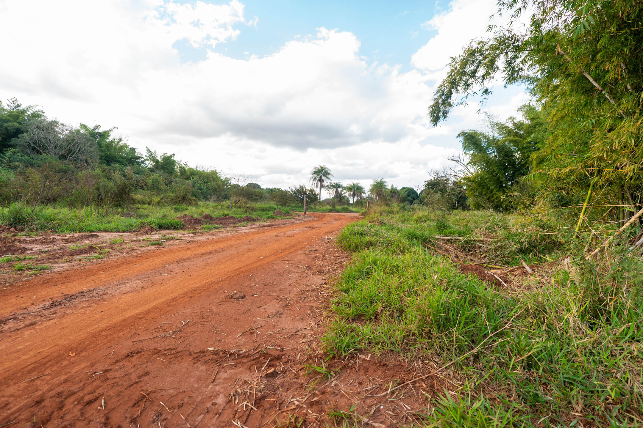 Estrada de acesso para maquin&aacute;rios e ve&iacute;culos de moradores foi aberta dentro da &Aacute;rea de Preserva&ccedil;&atilde;o Permanente (APP) do Ribeir&atilde;o das Botas e do C&oacute;rrego &Aacute;gua Limpa. Foto: Tero Queiroz