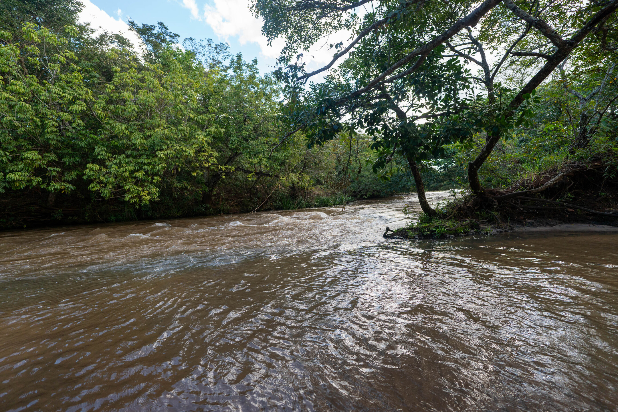 Ribeir&atilde;o das Botas, em Jaraguari, apresenta sinais de degrada&ccedil;&atilde;o ap&oacute;s escava&ccedil;&otilde;es em &Aacute;rea de Preserva&ccedil;&atilde;o Permanente (APP). Foto: Tero Queiroz