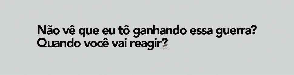 dengue- governo